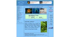 Desktop Screenshot of oboi.kulichki.net